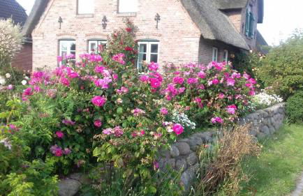 Das Rosenhaus - Photo 23