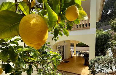 Poolvilla Patricia - Camp de Mar - Foto 7