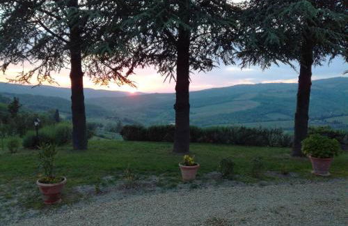 Tenuta il Poggetto - Foto 57