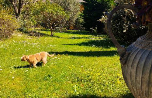 STRAVINSKY Apartments Avignon - individual wifi 1Gb - Foto 25