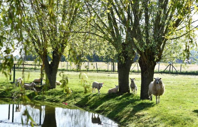 Scenic Countryside Stay - Foto 37