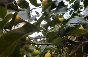 Appartamento per Turisti Mesovia - Photo 16