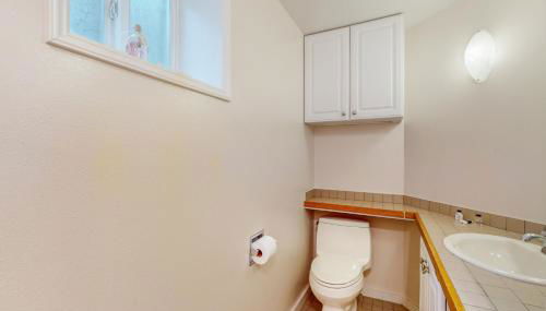 Alki Adventures - Foto 5