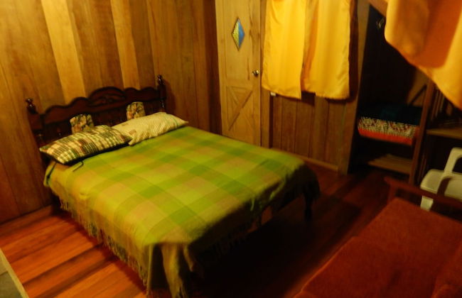 Dogs and Fish Dream Land - Foto 5