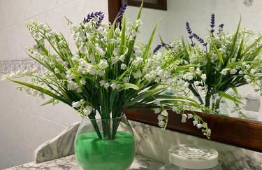 Or Son Sano - Foto 26