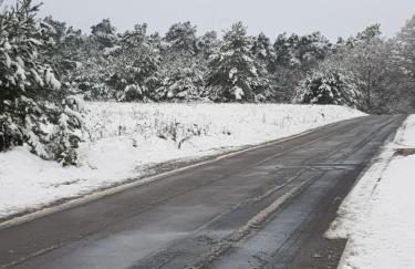 Boardinghouse Wittenberg - Foto 42