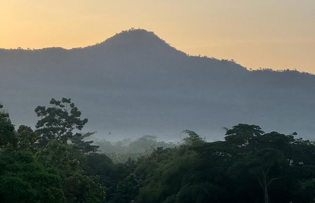 Refuge du Mont Agou - Photo 43