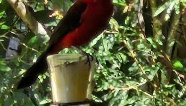 Chalés Alcantilado - Morada Sol e Lua - Photo 3