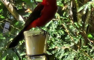 Chalés Alcantilado - Morada Sol e Lua - Photo 3