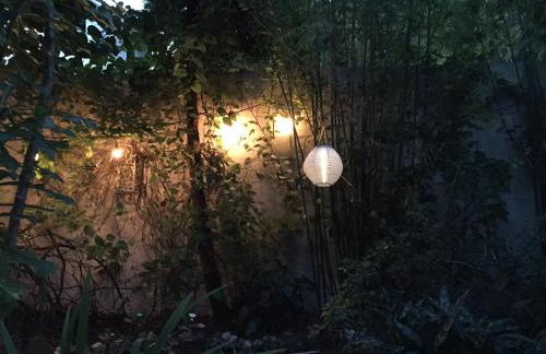 The Wild Rose - Foto 27