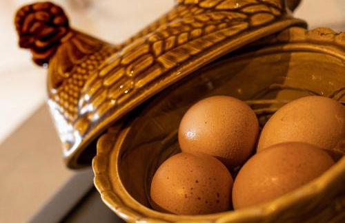 Blaenplwyf Shire Pods - Foto 14