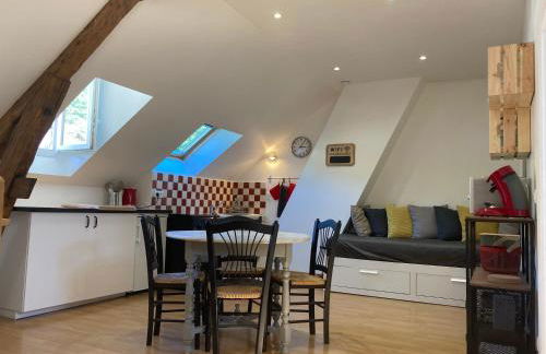 Ô Montrichard climatisé Zoo Beauval Chateau - Foto 1