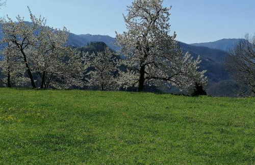 La casa In Valli 35 - Foto 8