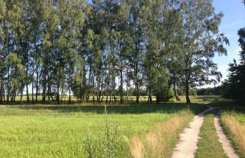 Apartament Kabaty - Foto 13