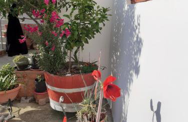 Vagelis 2 Nemea apartments - Foto 43