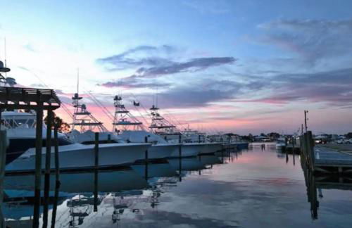 Cozy 2bd/2ba w/ View, Sleeps 6 - Photo 64