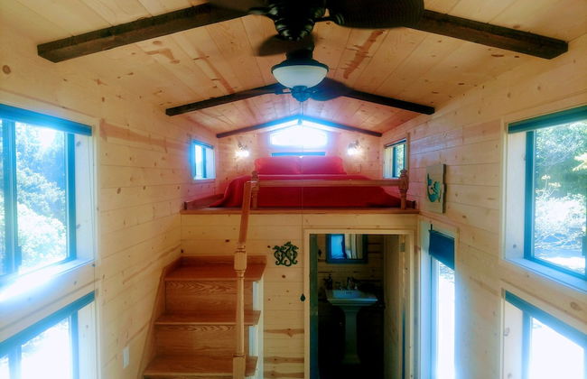 Coral Tree House - Foto 8