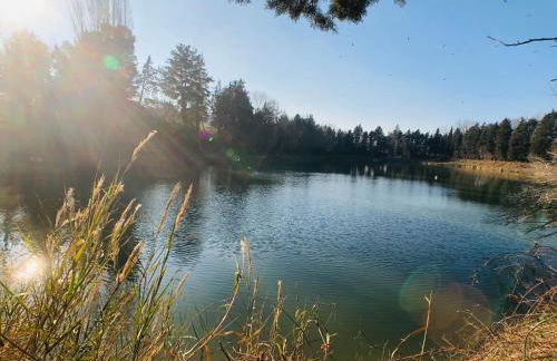 Ritorno alla Natura - Foto 39