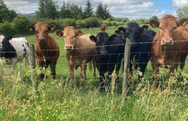 Cragside Cottage - Photo 15
