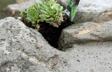 Enchanting Cottage Retreat in Konigsee - Foto 43