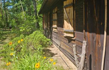 Dom z linią brzegową Narwi - Photo 26