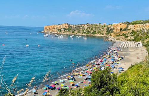 Vetriera41 - Foto 75