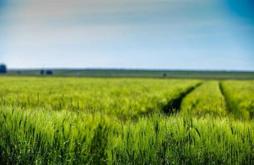 Polderhaus Deichblick direkt am Dullart - Foto 9