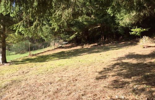 Haus Panoramablick - Foto 30