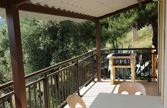 Camelia- Marjolène - Foto 16