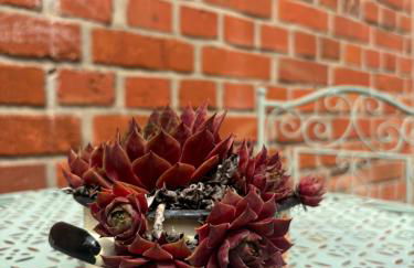 Ferienhof Hirsch - Foto 25