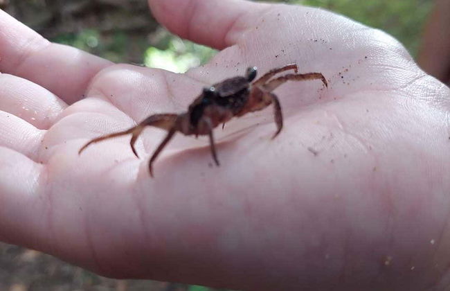 Excursión a Playa Escondida - Foto 8