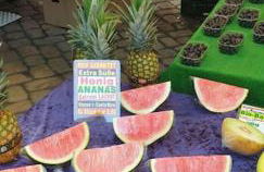 Exklusive 3-Zimmer-Wohnung, 2 Ebenen, Messe, Zentrum, 67 m2 - Foto 18