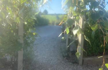 Barn Conversion Co Down - Foto 4