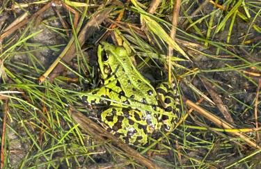 Lakeside-Hideaway - Photo 10