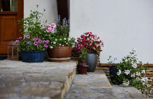 Agroturystyka Akacjowe Zacisze - Foto 68