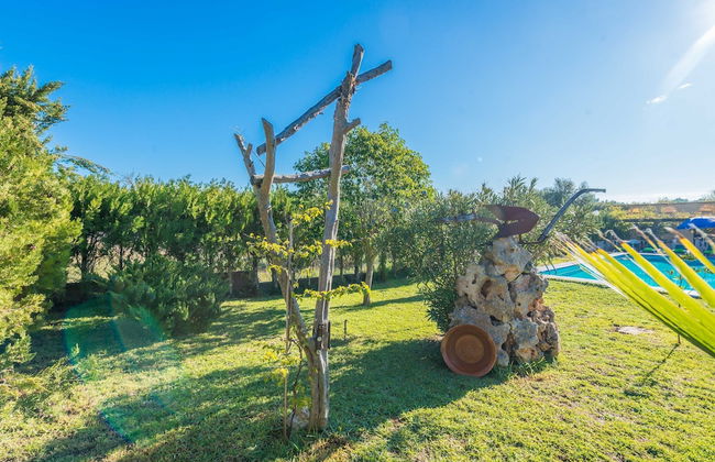 Hibiscus in Sa Pobla - Foto 36