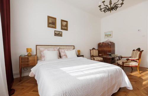 Vlaška Noir - Photo 1