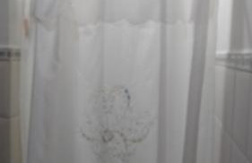 Sítio Canto das Águas - Foto 30