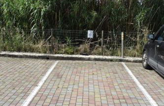 Holiday and art - Foto 7