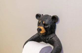 Hot Tub - Haven at the Red - Red River Gorge KY - Foto 27