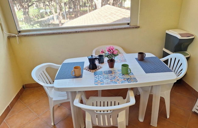 Pineta Azzurra - Foto 72