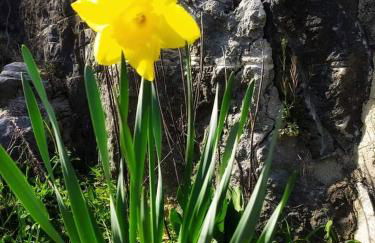 Casa vacanza zia Ersilia - Foto 46