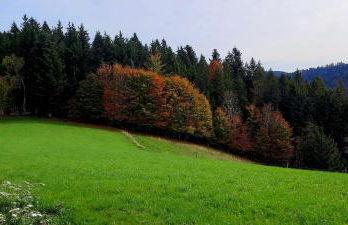 Outdoor & Relax Blackforest - Foto 30