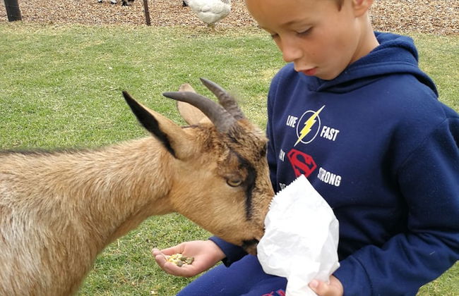 Groeneweide - Foto 41