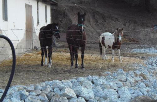 Cortijo Moyano - Photo 43