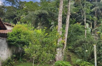 O Refúgio Perfeito - Photo 10