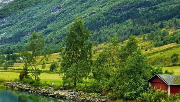 Nærøyfjord y Flåm con crucero de 2 horas por el fiordo - Foto 5