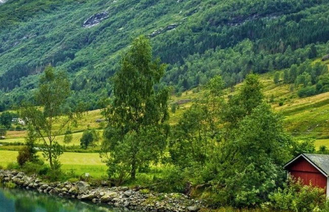 Nærøyfjord y Flåm con crucero de 2 horas por el fiordo - Foto 5