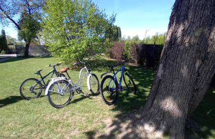 Pokoje gościnne Słoneczny Klon Dąbrówno - Foto 21