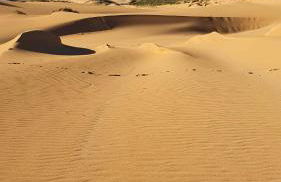 Oasi del Relax - Seaside Peaceful Panoramic Terrace in ITALY - new Sardinia apartment 50 mt beach&sea full comfort air conditioning-WiFi-Parking-Privacy - Foto 59